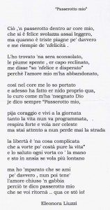 Poesia Vincitrice XVIII Premio Fauno