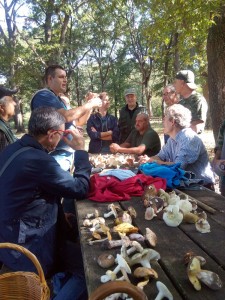 Uscita di fine corso, nel bosco del Foglino a Nettuno