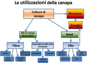 usi canapa (2)