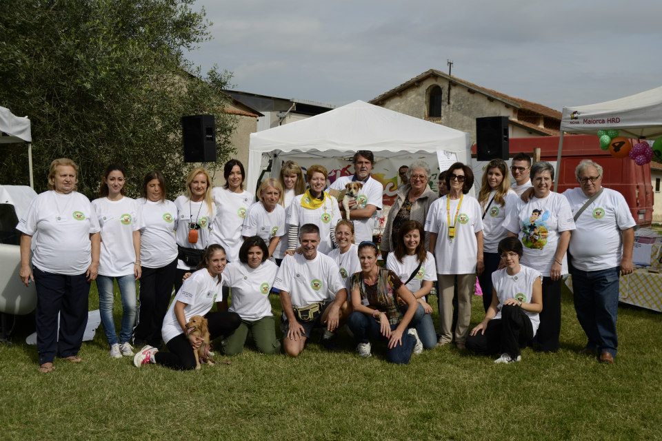 Tanti cuccioli del canile cercano casa