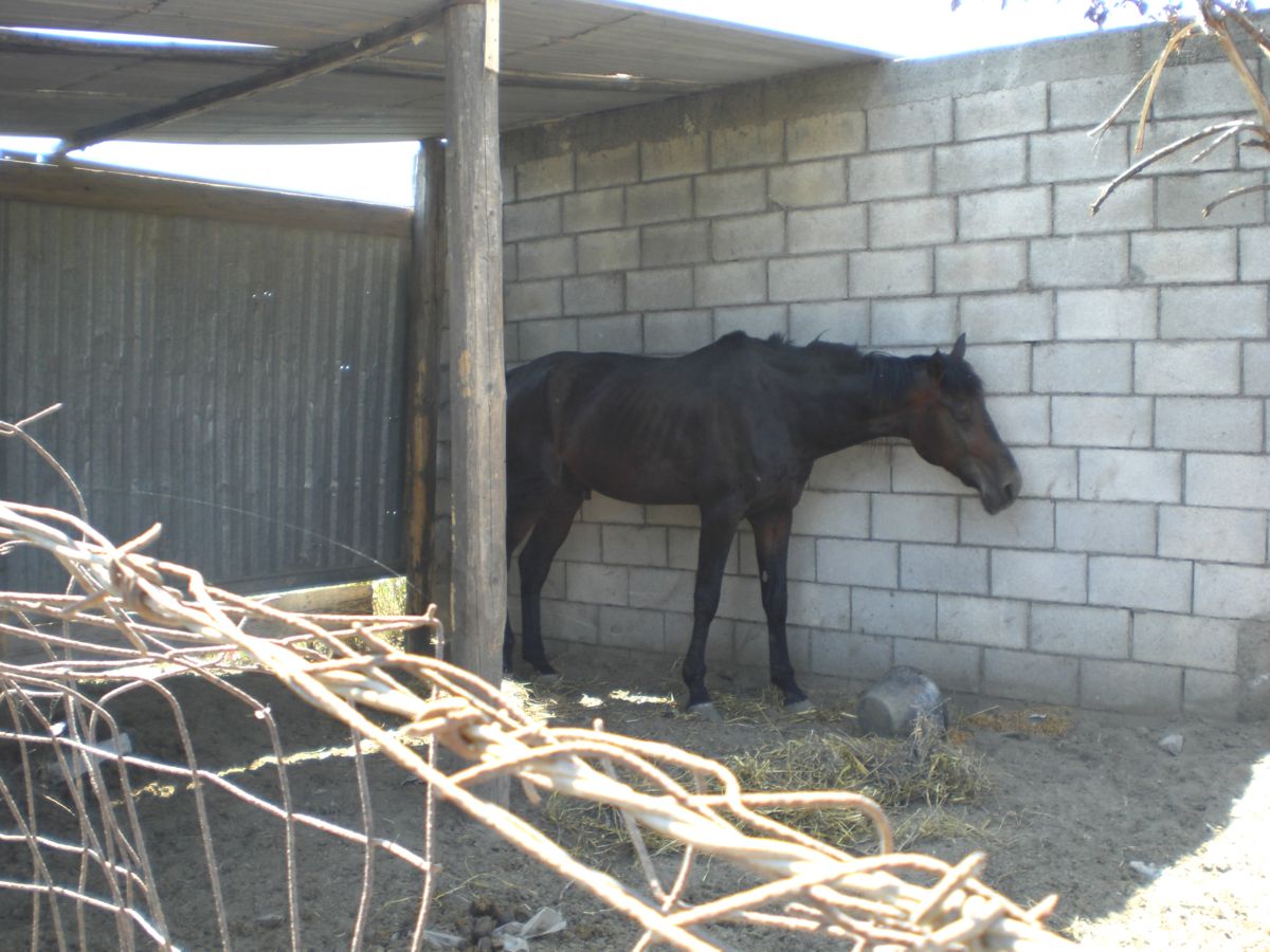 Ceriara: sequestrata azienda agricola