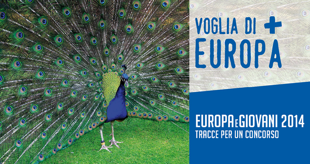 Concorso Europa e Giovani 2014