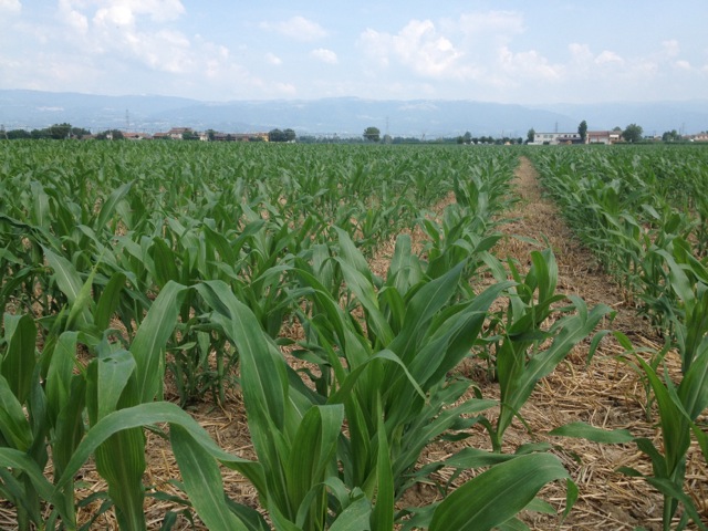 L’Agricoltura Blu