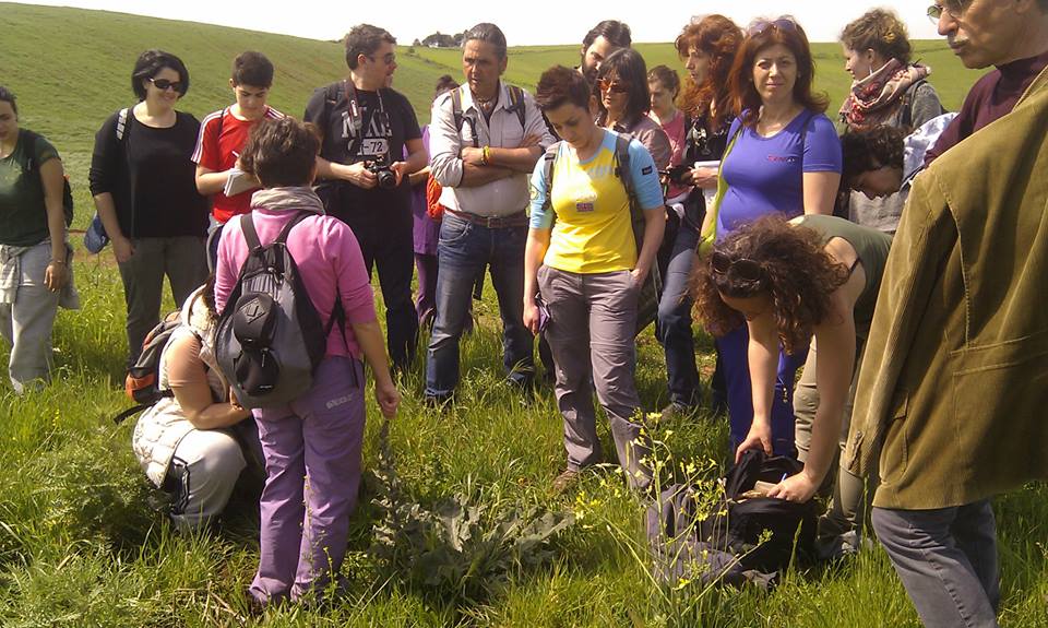 Passeggiata Ecologica sulla Via Francigena