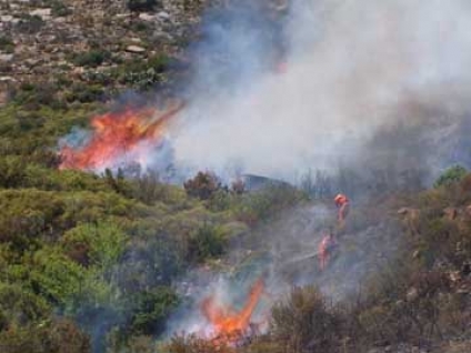 Incendi Boschivi: Arrestato incendiario in provincia di Latina