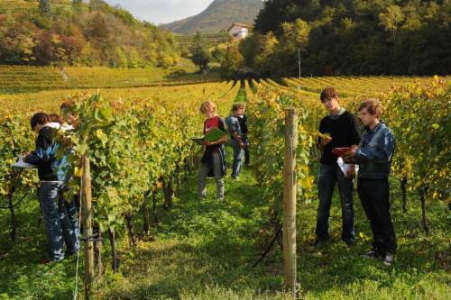 Sermoneta: Tre bandi a sostegno del comparto Agricolo