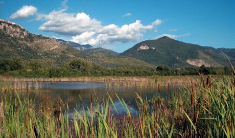 Visite gratuite a Pantanello