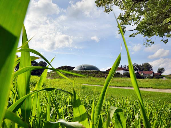 Biogas? No grazie! I sistemi alternativi per salvaguardare l’ambiente dell’ISDE