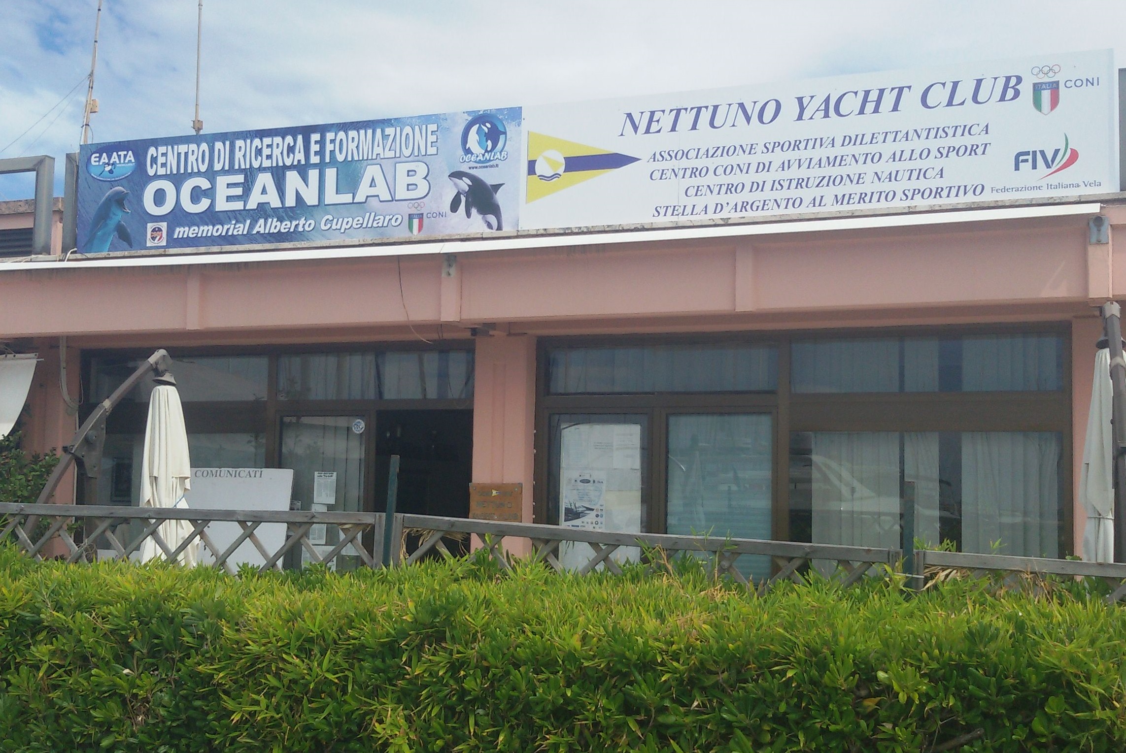 Apre il Centro di Ricerca e Formazione Mammiferi Marini del Lazio