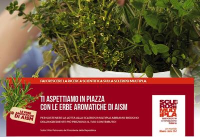 Le “Erbe Aromatiche di AISM” anche a Latina e Provincia