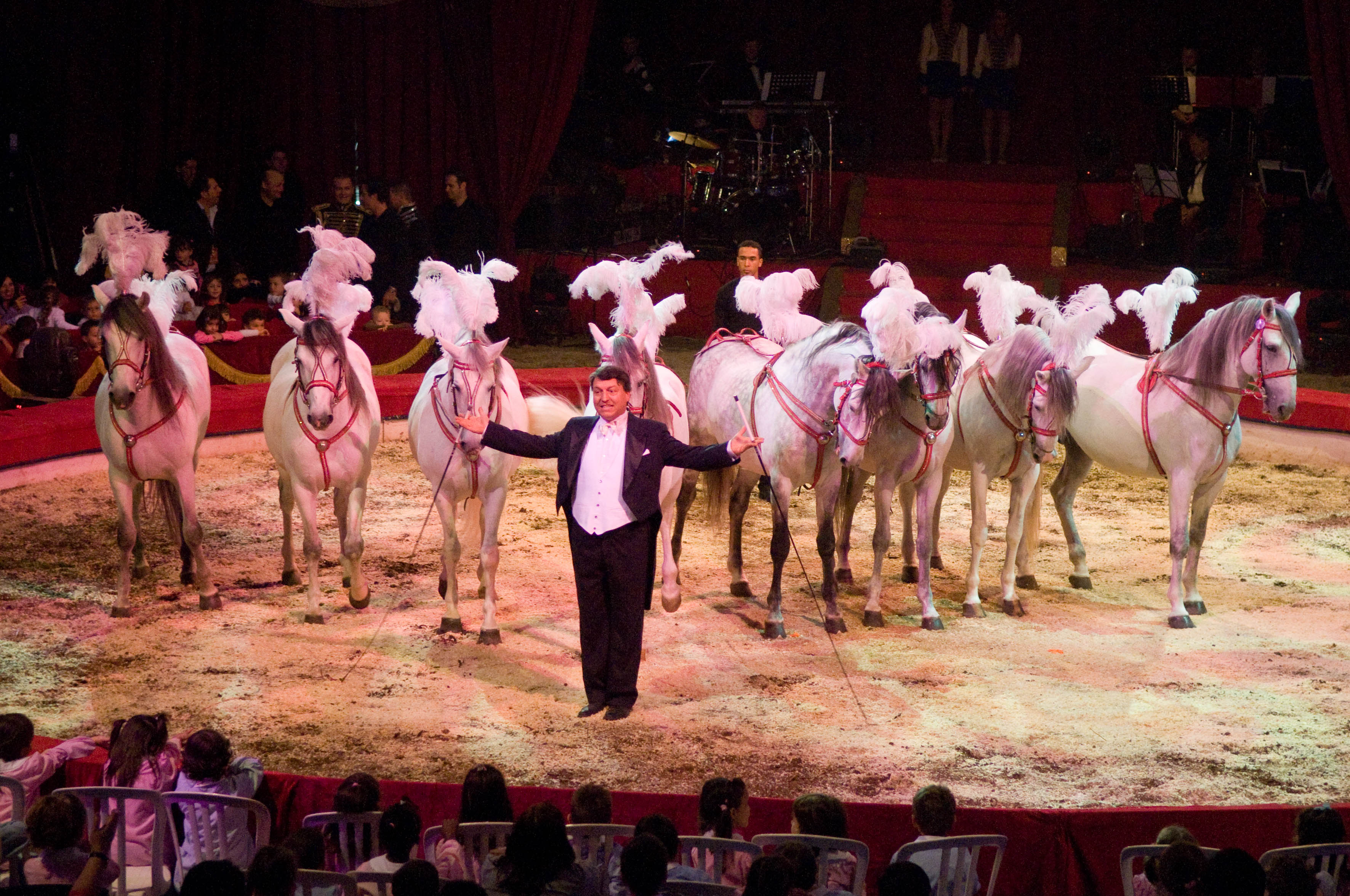 Flavio Togni alla #19ª edizione dell’International Circus Festival of Italy