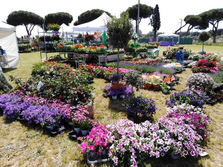 Eventi: Annullata la 4ᵃ edizione di Verde in Festa