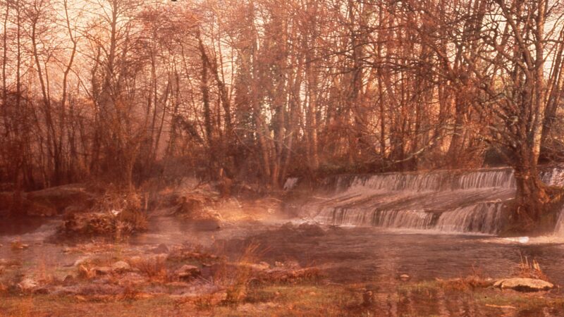 La fotografia pittorica di Carlo Picone